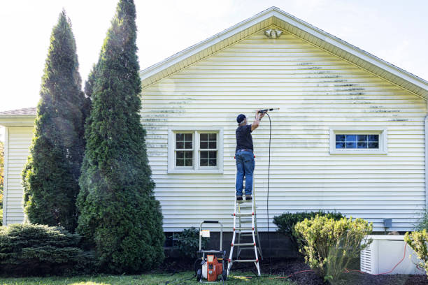 Best House Exterior Washing  in Platte, SD